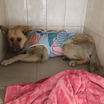 Рудничка-023