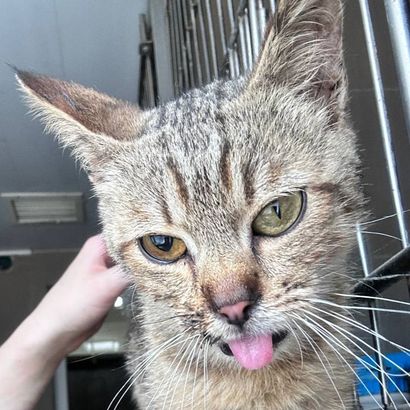 Том-836